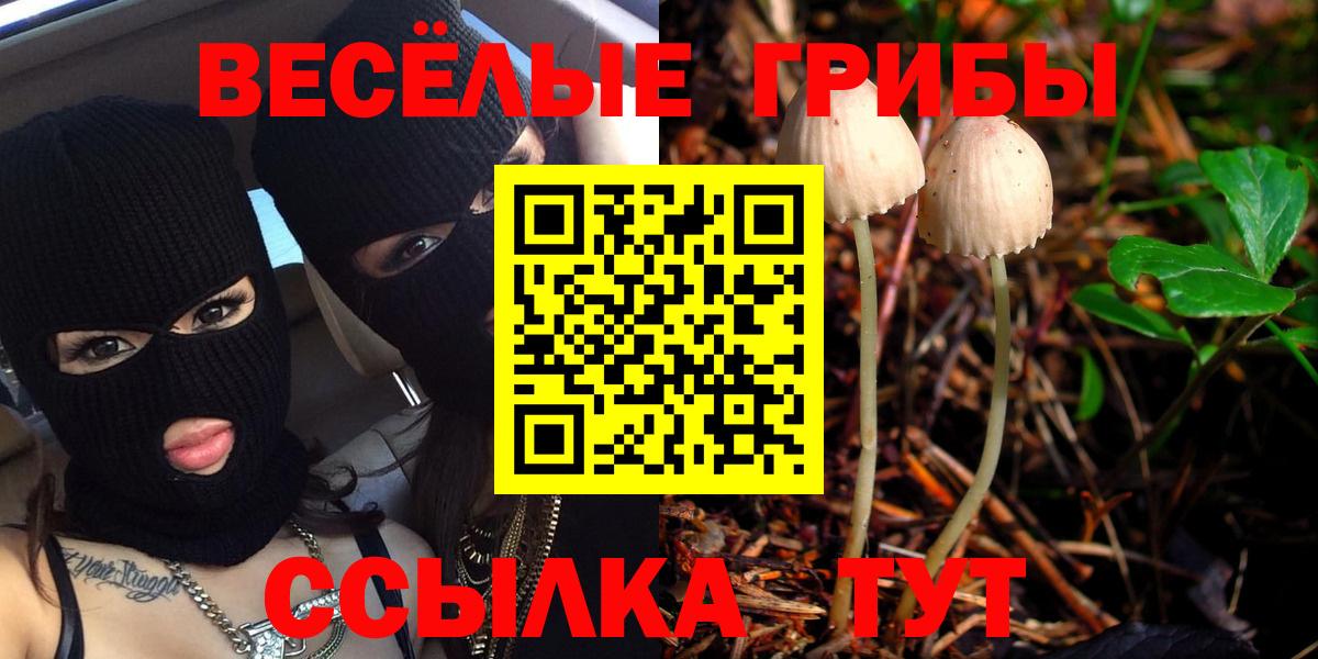 Галлюциногенные грибы мицелий Похвистнево