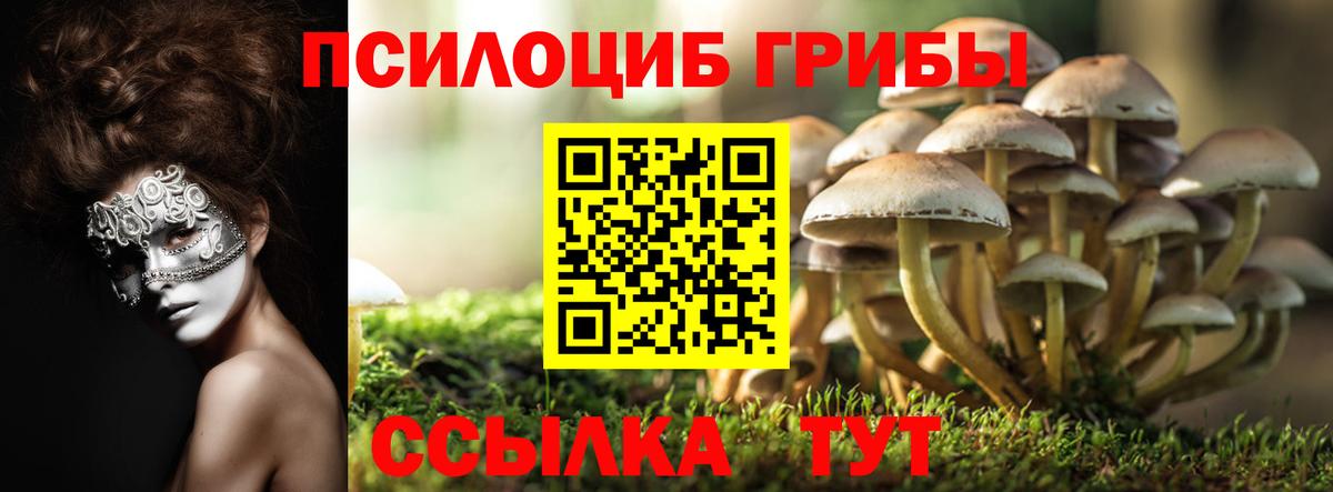 Галлюциногенные грибы Psilocybe  Вход с VPN  Похвистнево 
